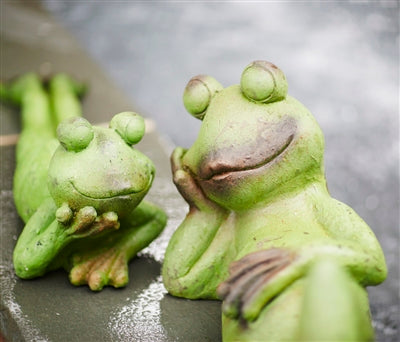 Large Laying Frog Ornamental - TheBOX