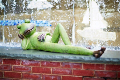 Large Laying Frog Ornamental - TheBOX
