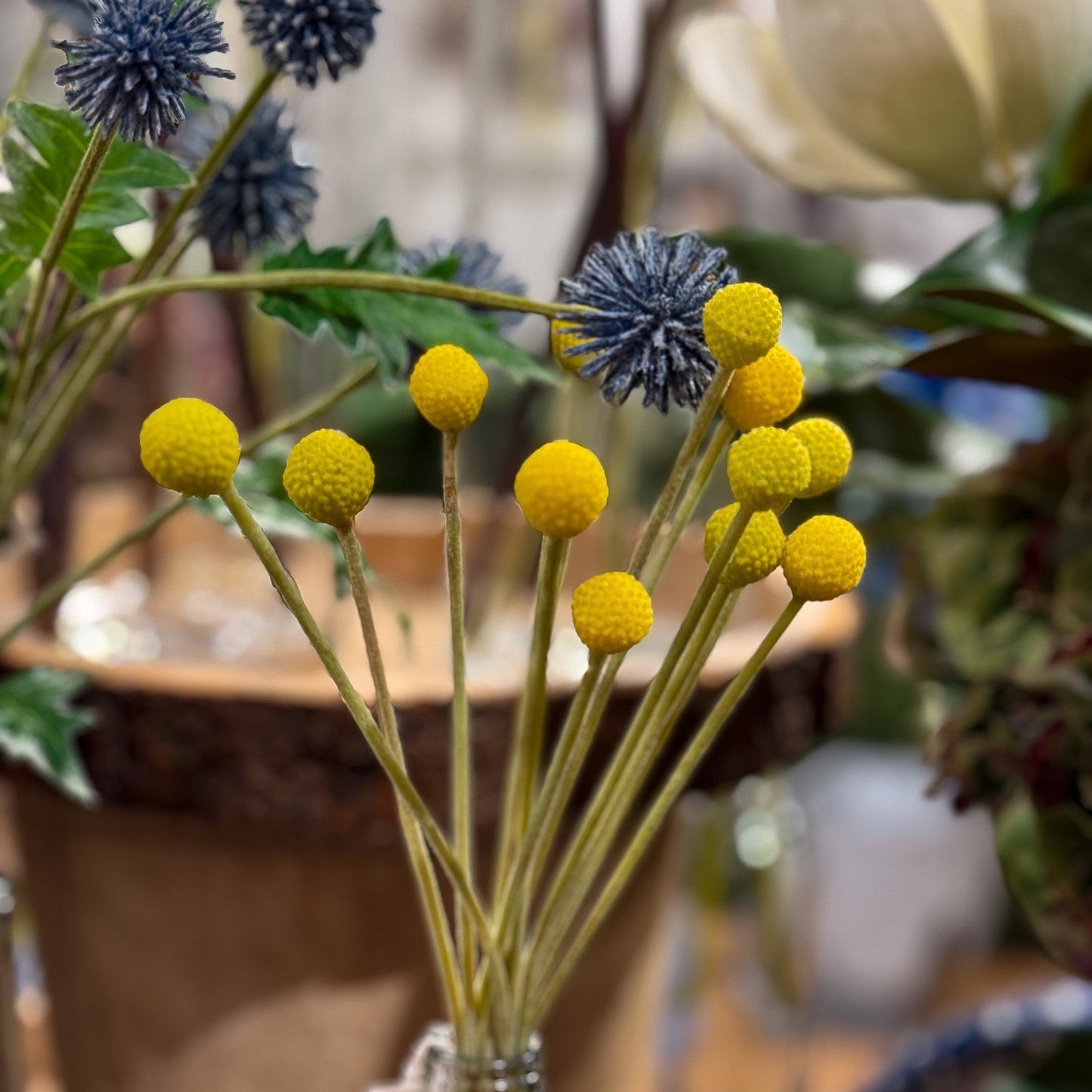 MINI BILLY BALLS - 19 INCH - YELLOW - TheBOX