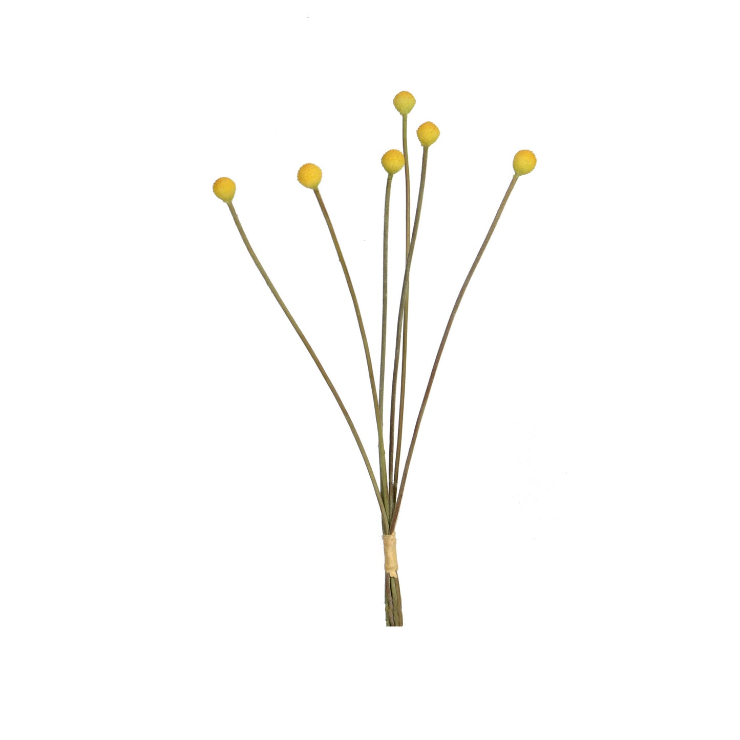 MINI BILLY BALLS - 19 INCH - YELLOW - TheBOX