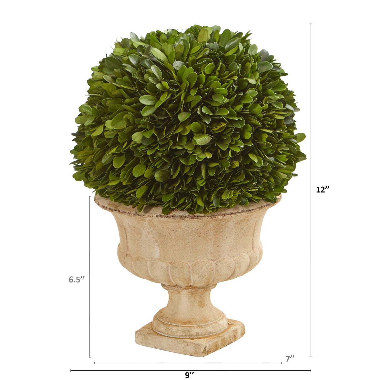 12” Boxwood Topiary Ball Preserved Plant in Decorative Urn - TheBOX
