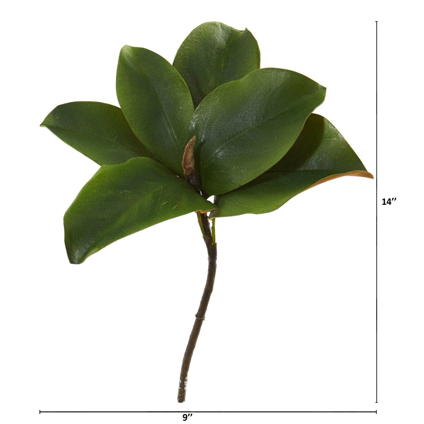 14” Magnolia Leaf Artificial Flower (Set of 12) - TheBOX