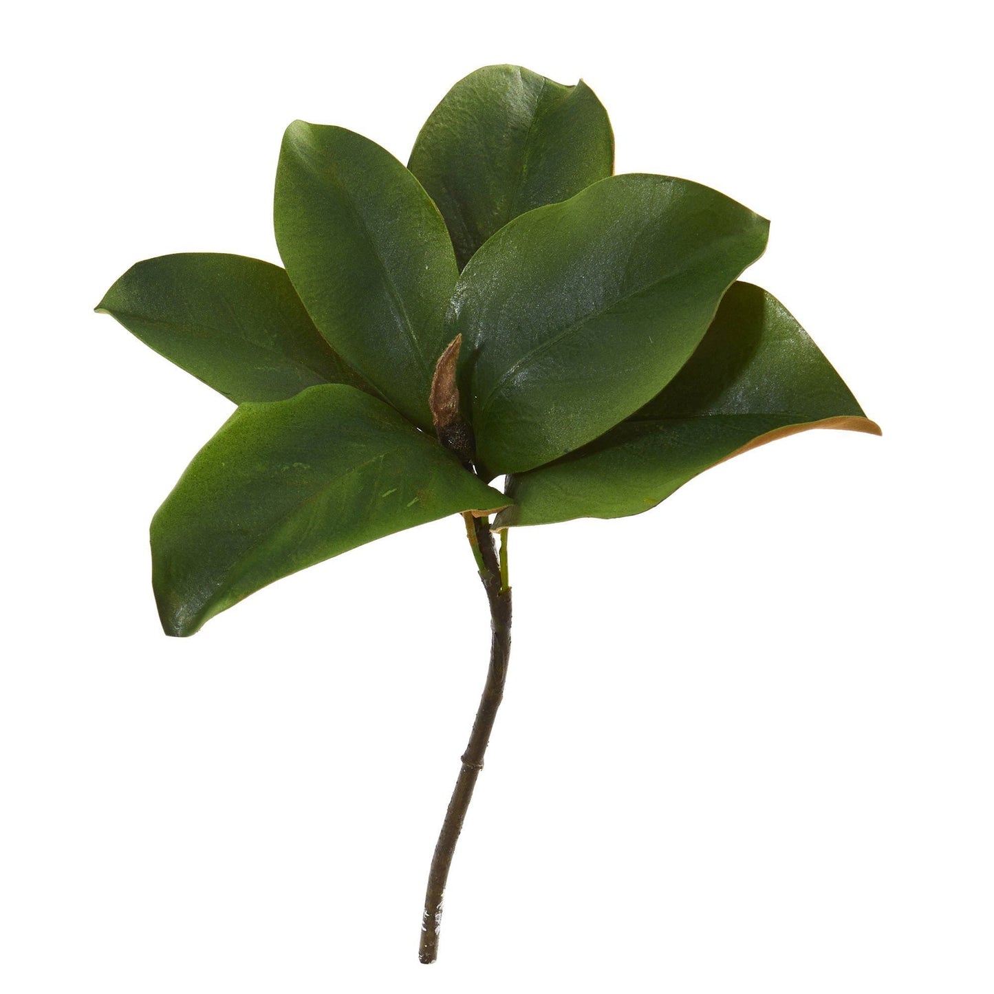 14” Magnolia Leaf Artificial Flower (Set of 12) - TheBOX