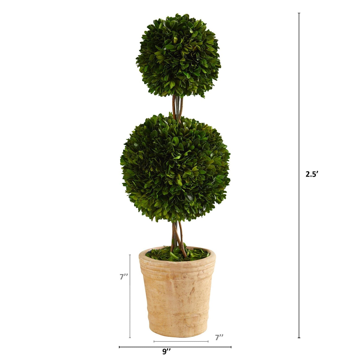 2.5’ Preserved Boxwood Double Ball Topiary Tree in Decorative Planter - TheBOX