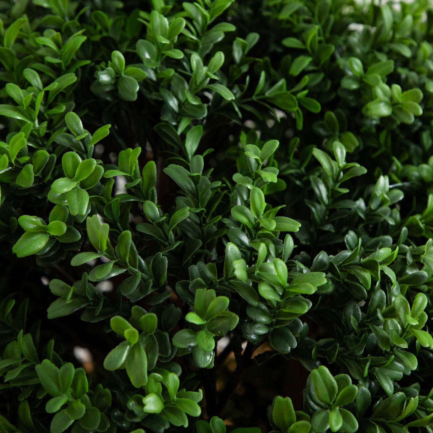 3' Boxwood Artificial Topiary Tree - TheBOX