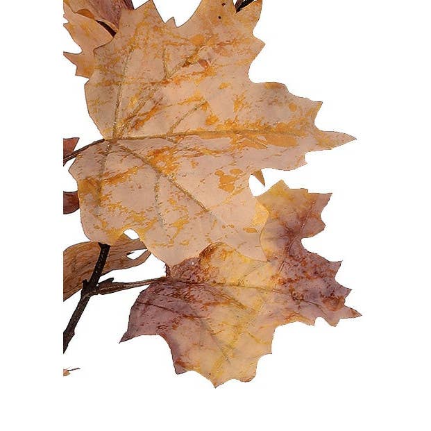 Artificial Vermont Maple Leaf Autumn Spray- Cream/Brown, 47" - TheBOX