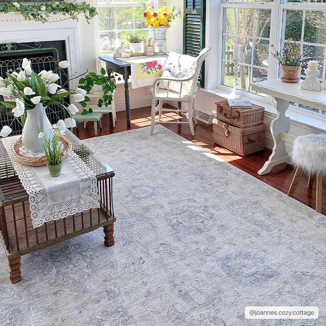 Albuquerque Area Rug - TheBOX