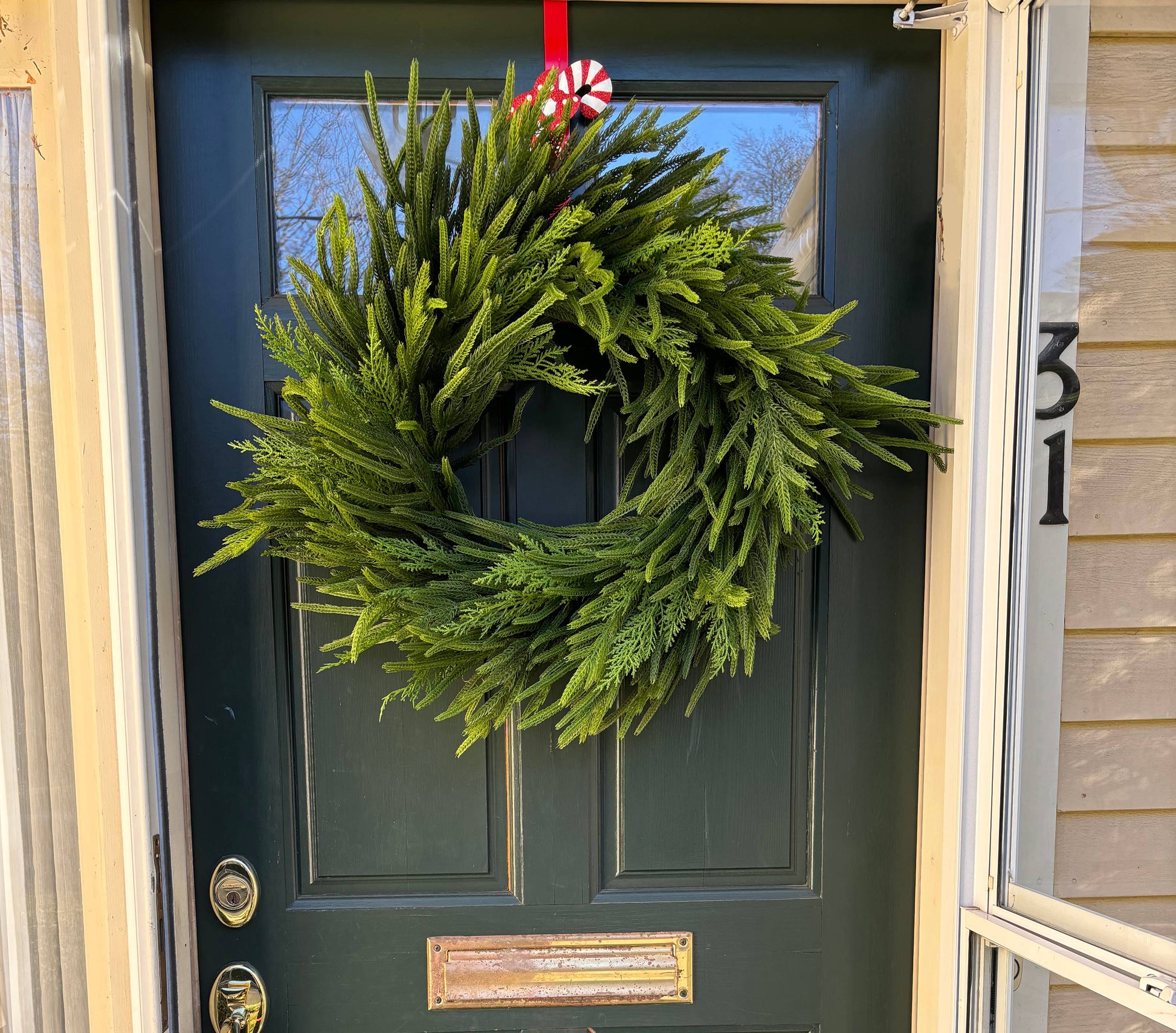 25" Cedar/ Norfolk  Wreath on Natural Twig Base - TheBOX