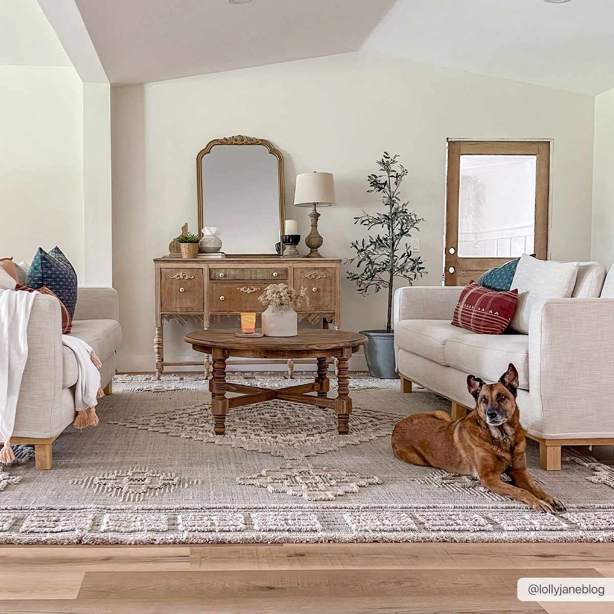 Ampusungan High-Low Rustic Rug - TheBOX