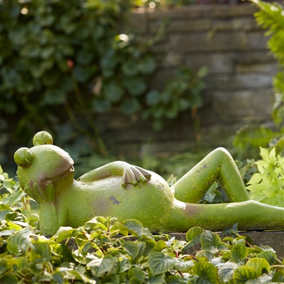 Large Laying Frog Ornamental - TheBOX