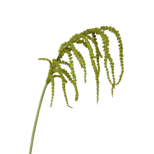 AMARANTHUS HANGING SPRAY - 39 INCH - GREEN - TheBOX