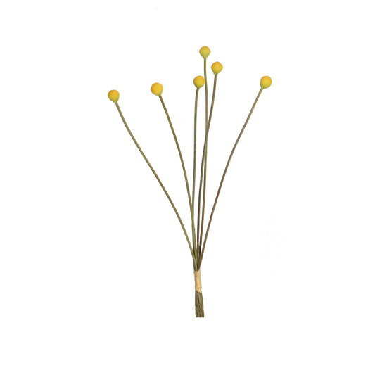 MINI BILLY BALLS - 19 INCH - YELLOW - TheBOX