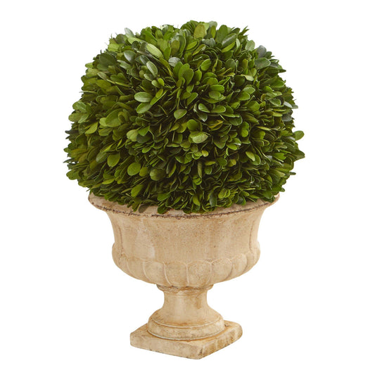 12” Boxwood Topiary Ball Preserved Plant in Decorative Urn - TheBOX