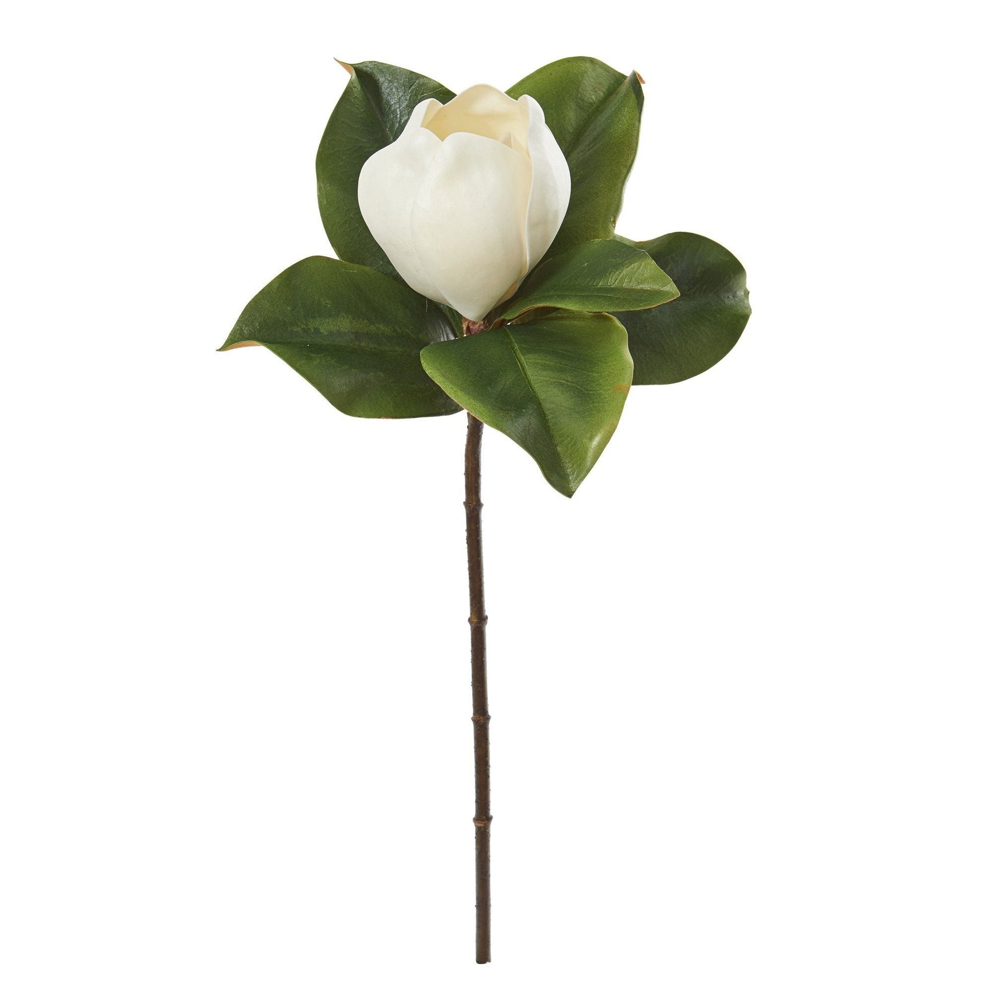 20” Magnolia Artificial Flower (Set of 6) - TheBOX