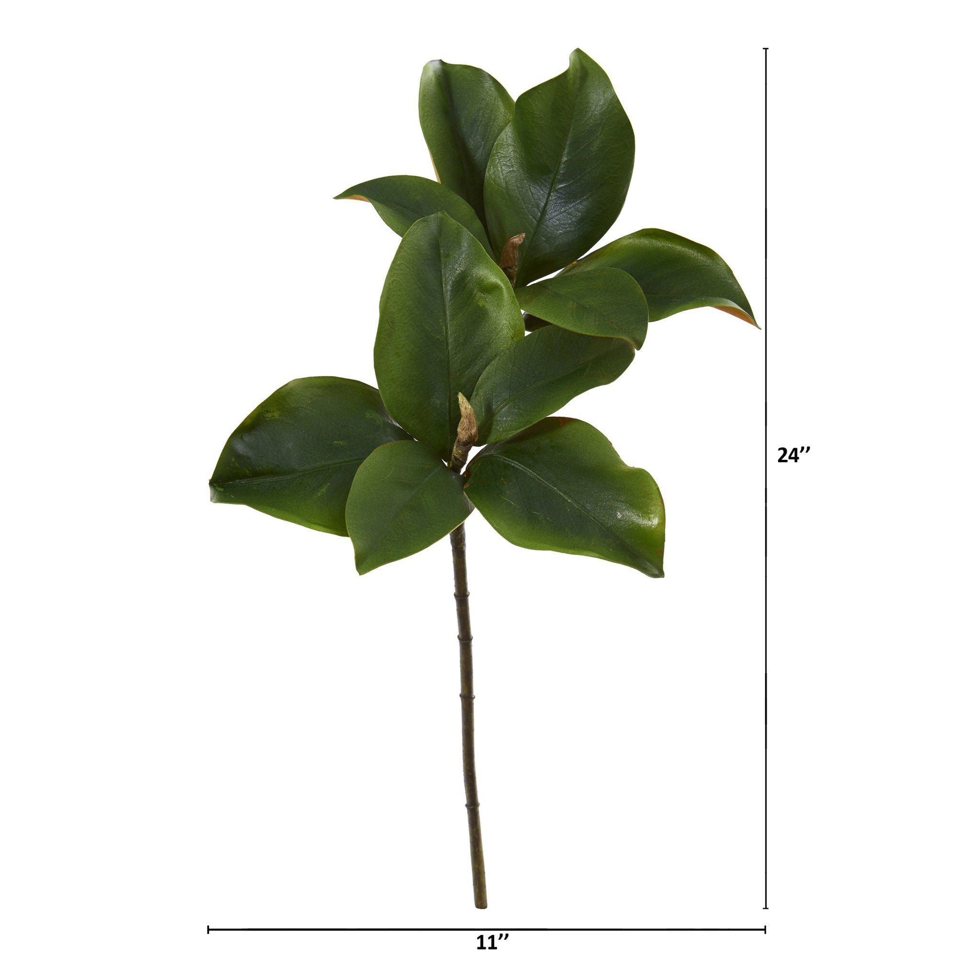 24” Magnolia Artificial Leaf (Set of 6) - TheBOX