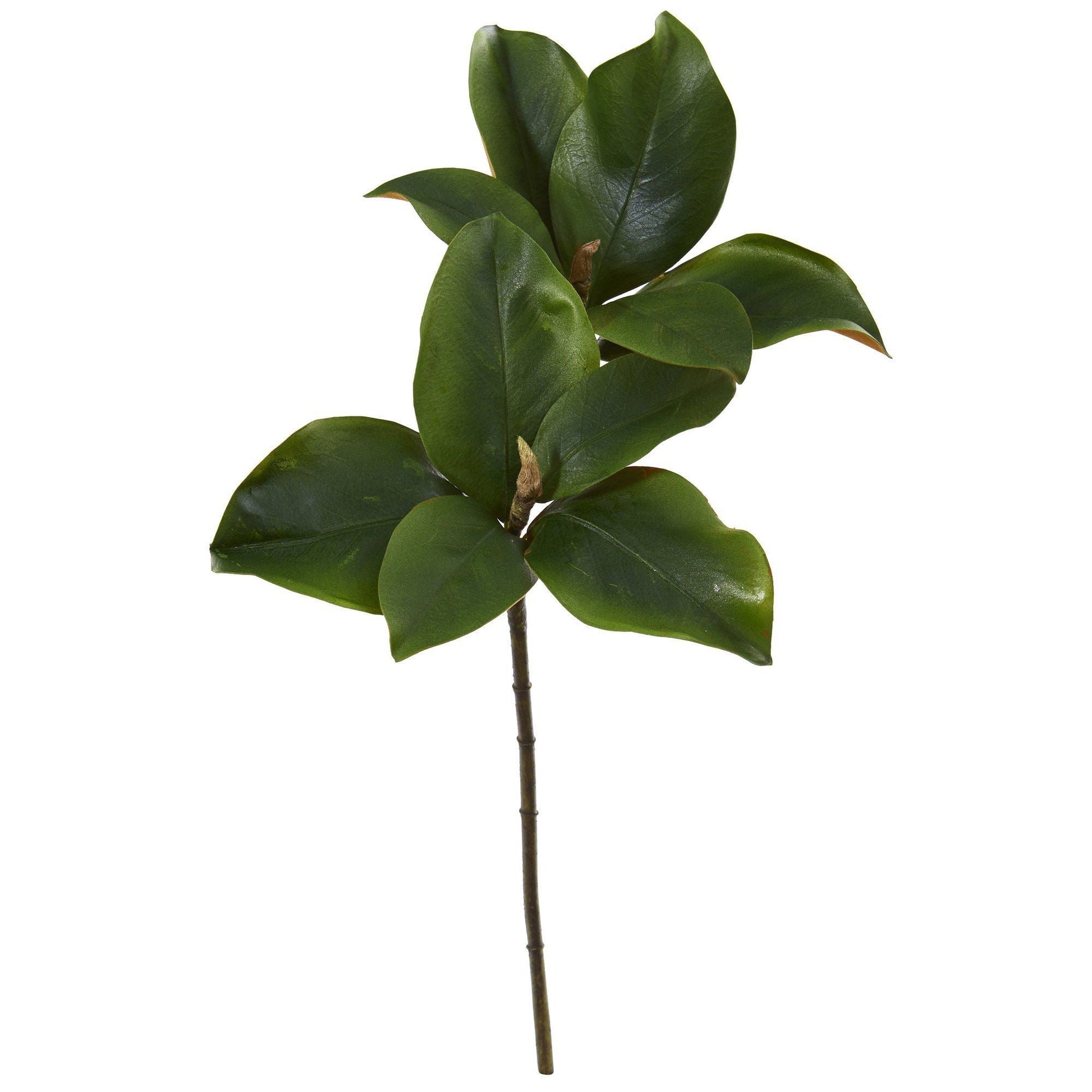 24” Magnolia Artificial Leaf (Set of 6) - TheBOX
