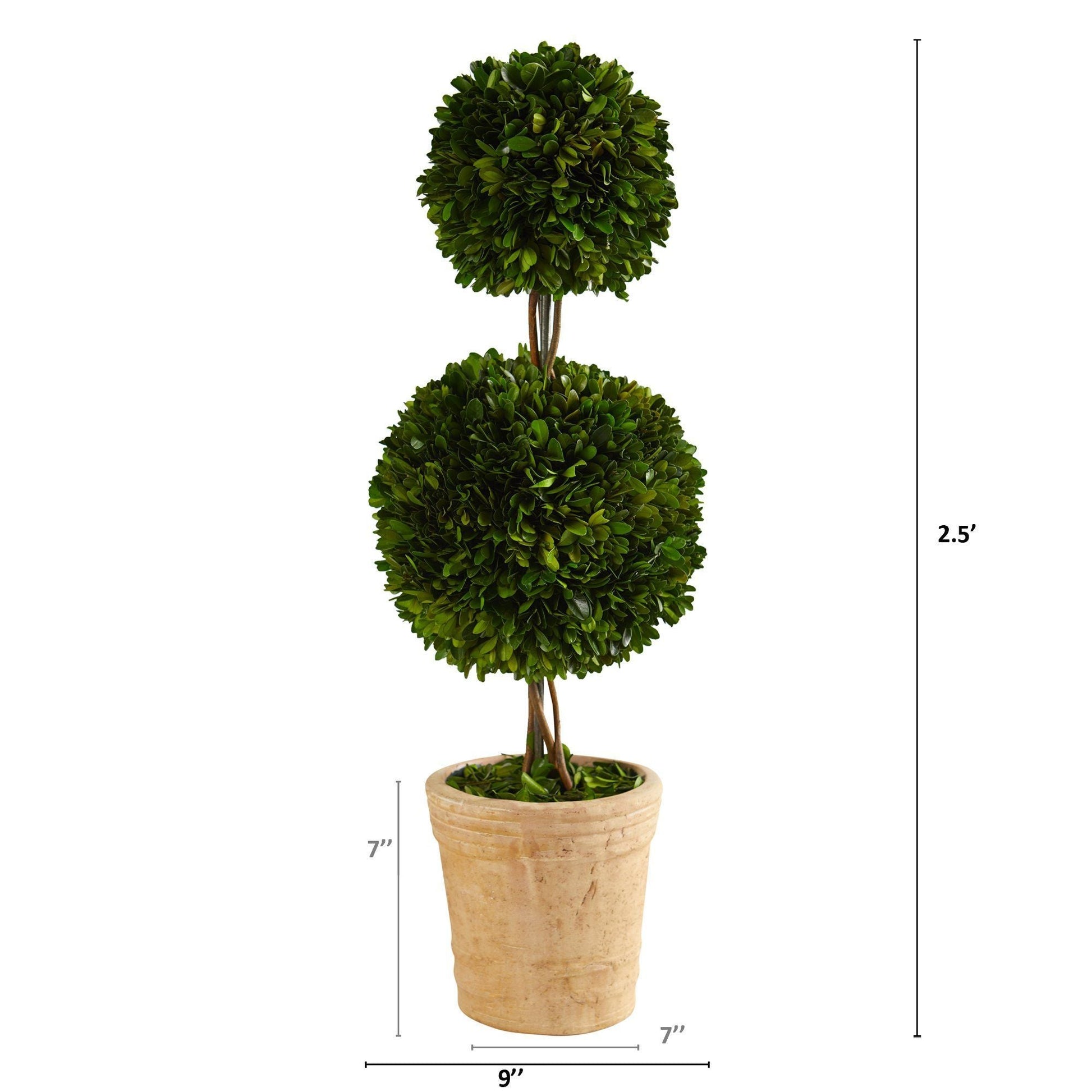 2.5’ Preserved Boxwood Double Ball Topiary Tree in Decorative Planter - TheBOX