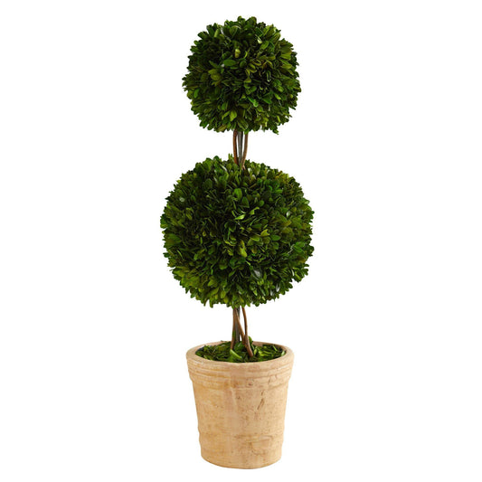 2.5’ Preserved Boxwood Double Ball Topiary Tree in Decorative Planter - TheBOX