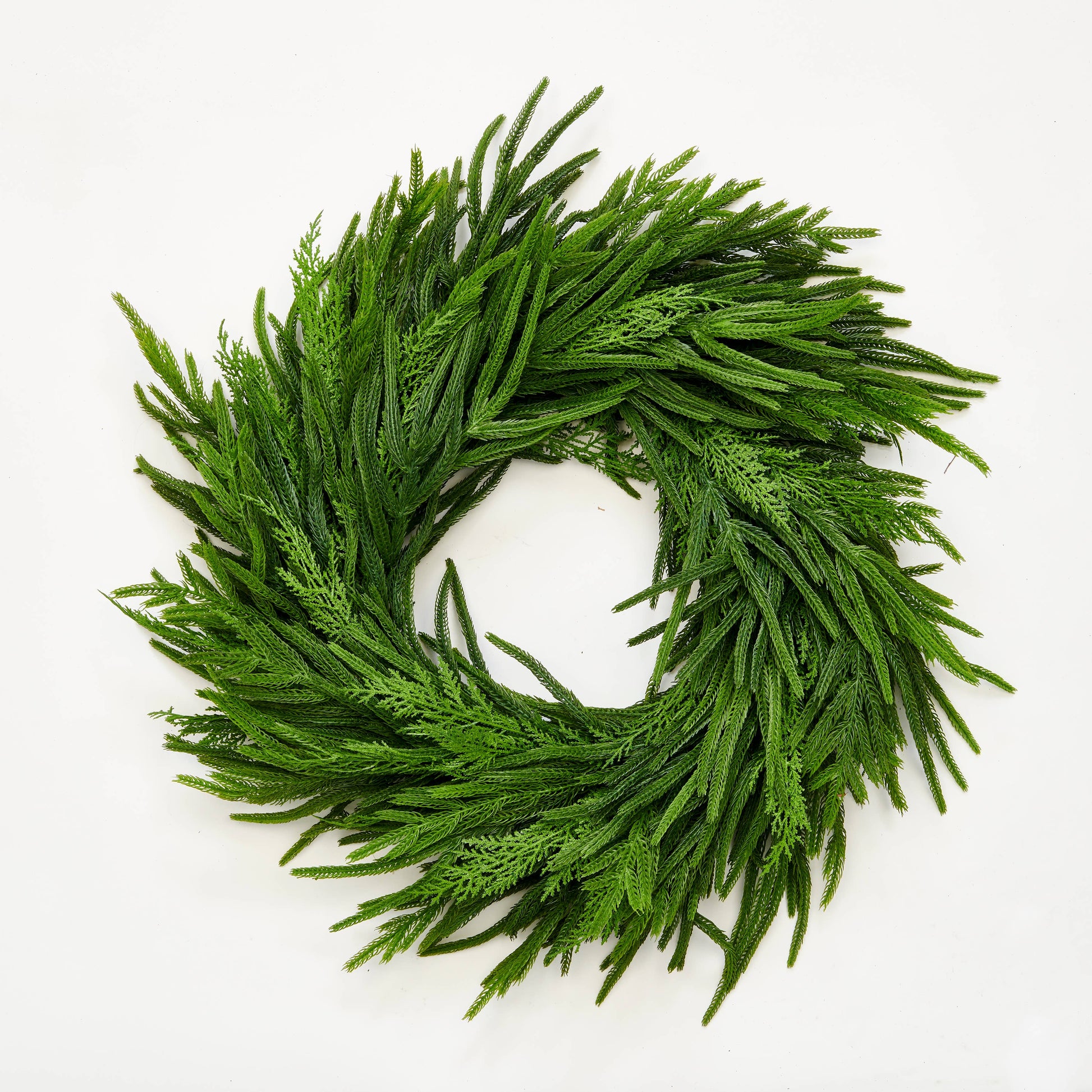 25" Cedar/ Norfolk  Wreath on Natural Twig Base - TheBOX
